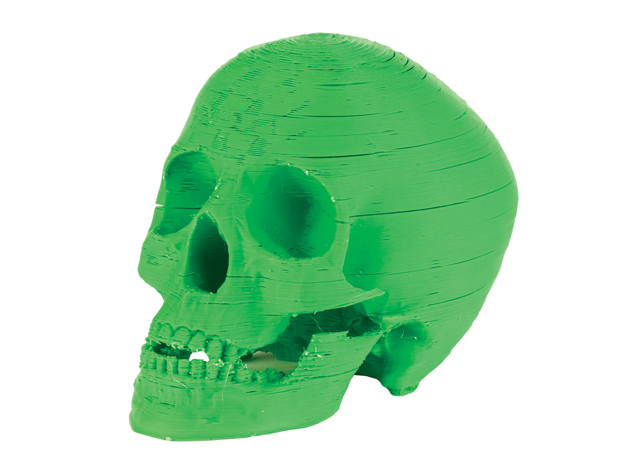 CEL Robox - 3D skull print