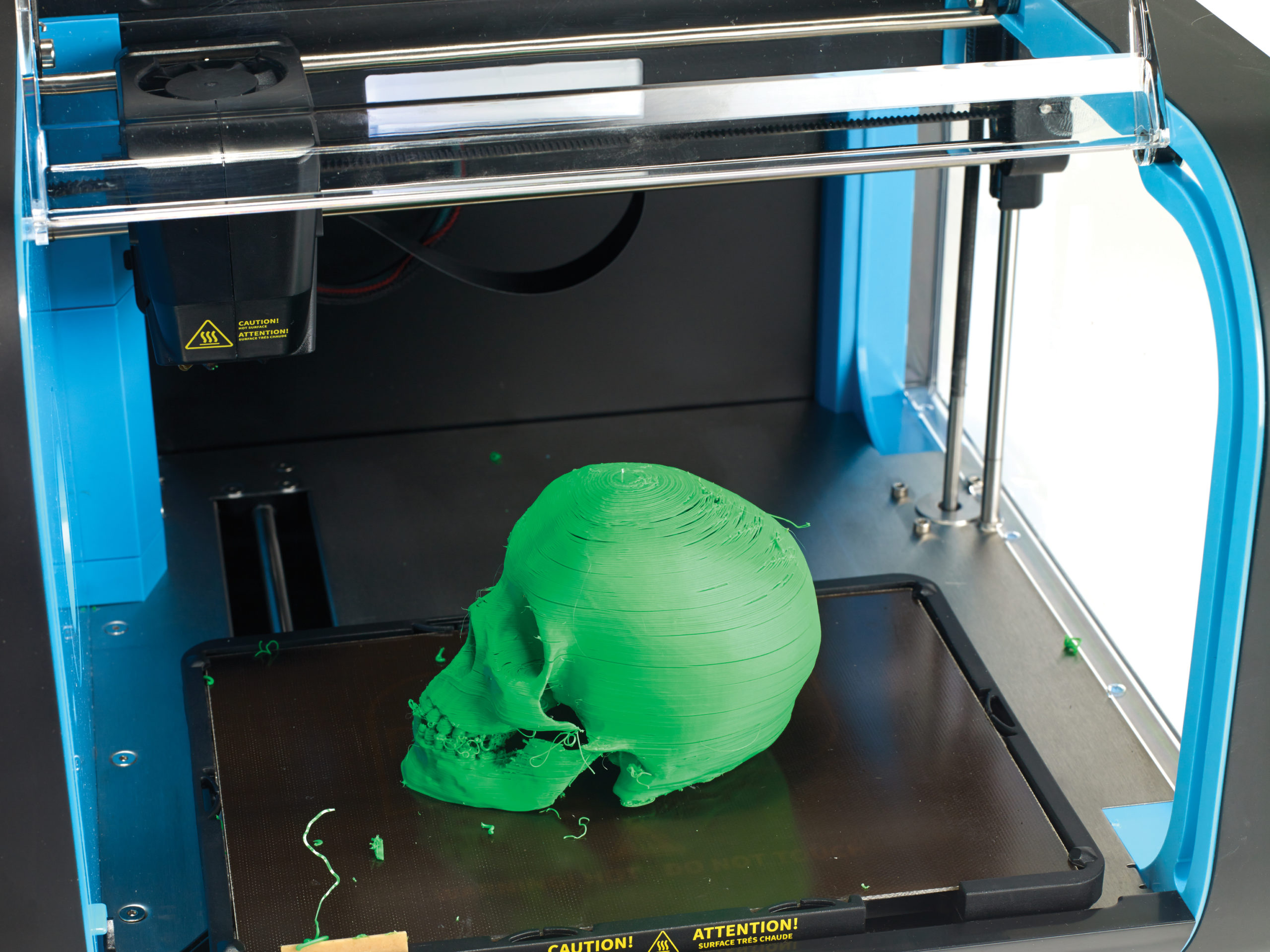 CEL Robox - 3D printed skull in ABS