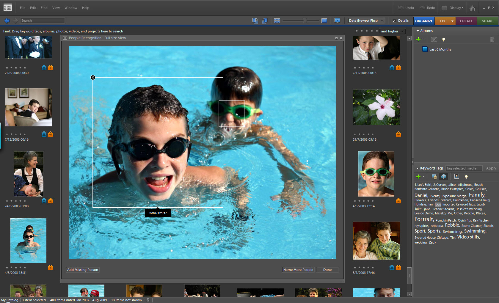 Adobe Photoshop Elements  8 review