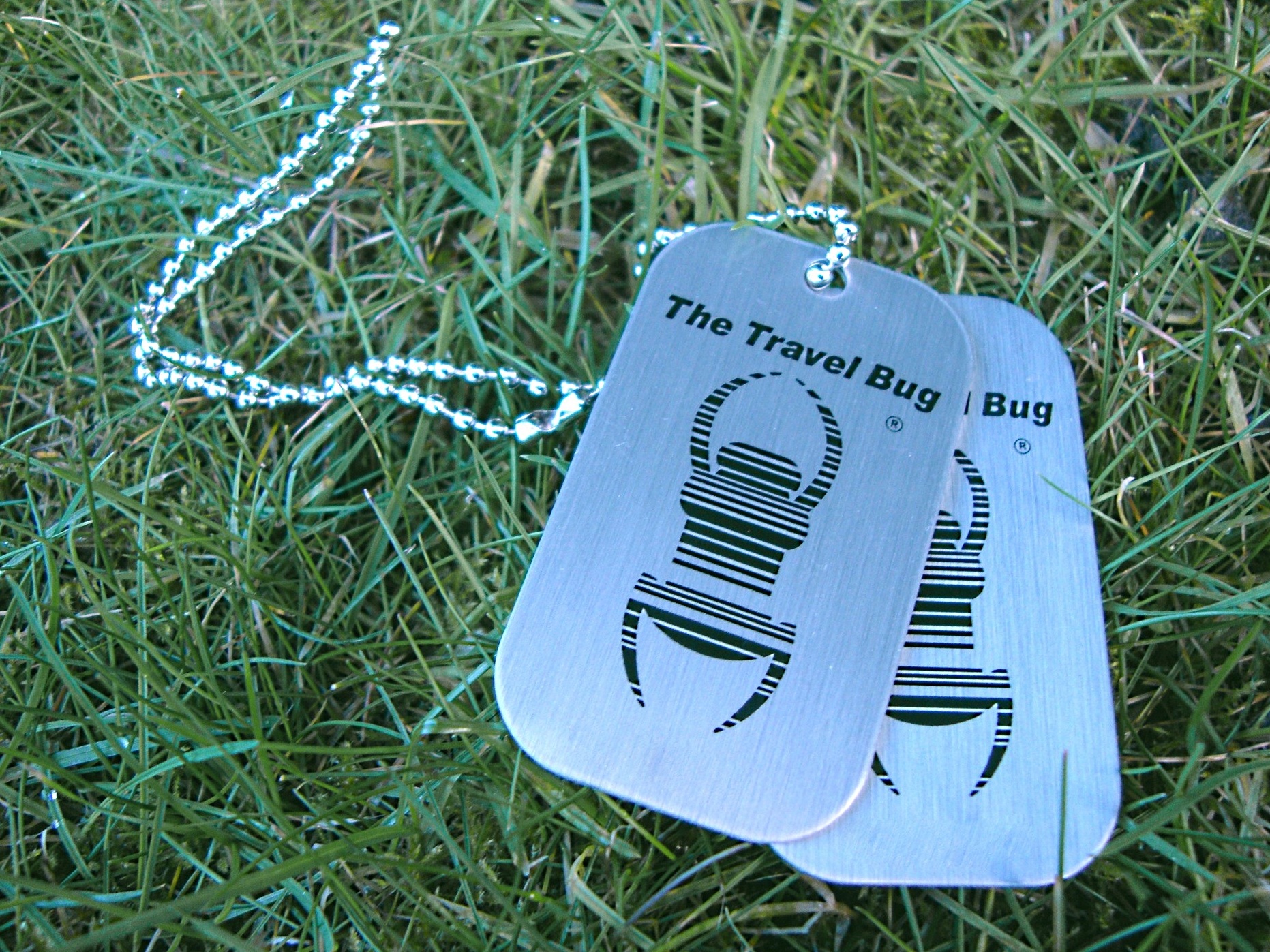 Travel bugs