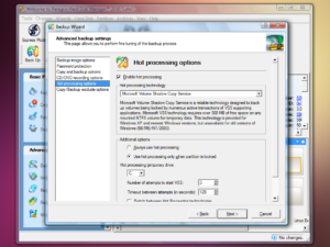 Hot processing lets Hard Disk Manager 2010 Suite back up even drives that are in use.