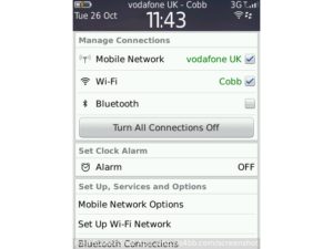 RIM BlackBerry Torch 9800
