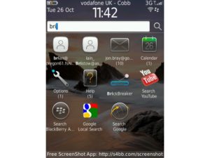 RIM BlackBerry Torch 9800