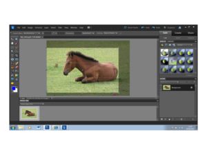 Adobe Photoshop Elements 10 - rule of thirds