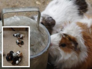 Pentax K-r - sample shot