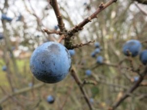 Canon PowerShot S110