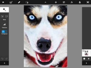 Adobe Photoshop Touch