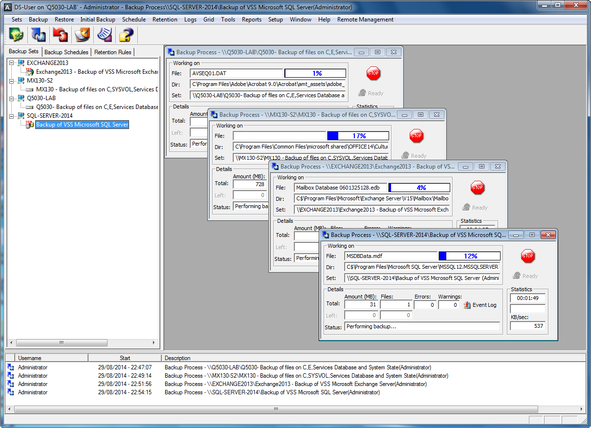 KeepItSafe Online Backup  review - DS-User management interface