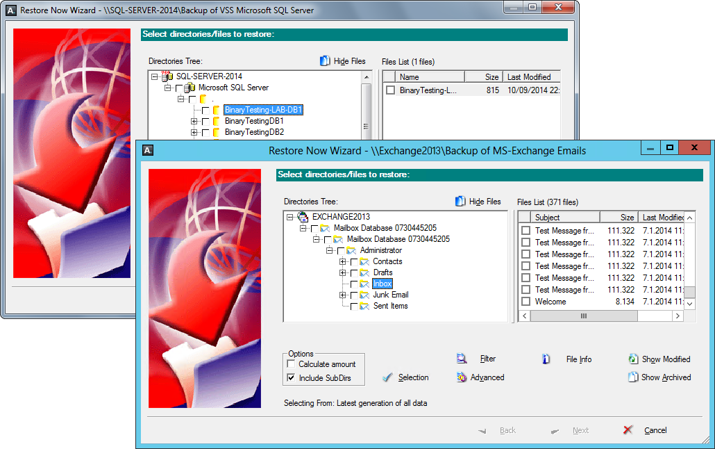 KeepItSafe Online Backup - supports Exchange item-level restores