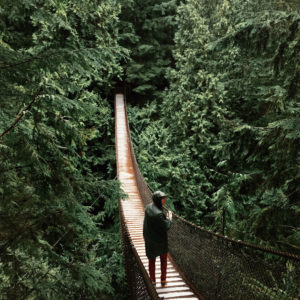 Apple World Gallery Shot on iPhone 6 - Sawyer K