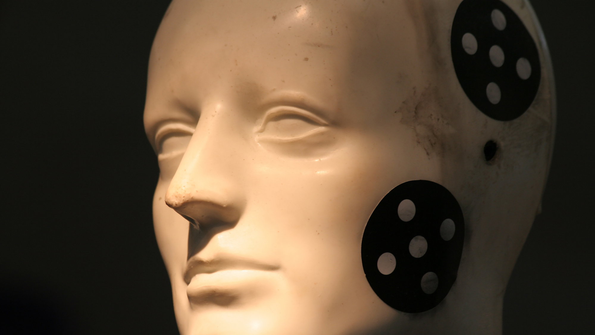 crash-test-dummy-head