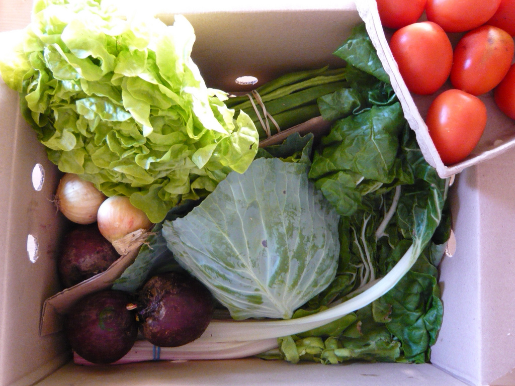 science_of_running_nutrition