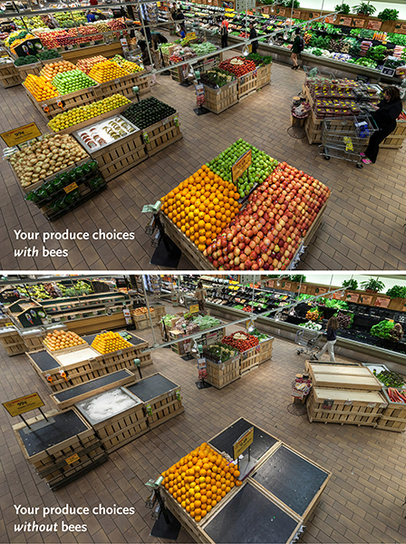 whole_foods_without_bees