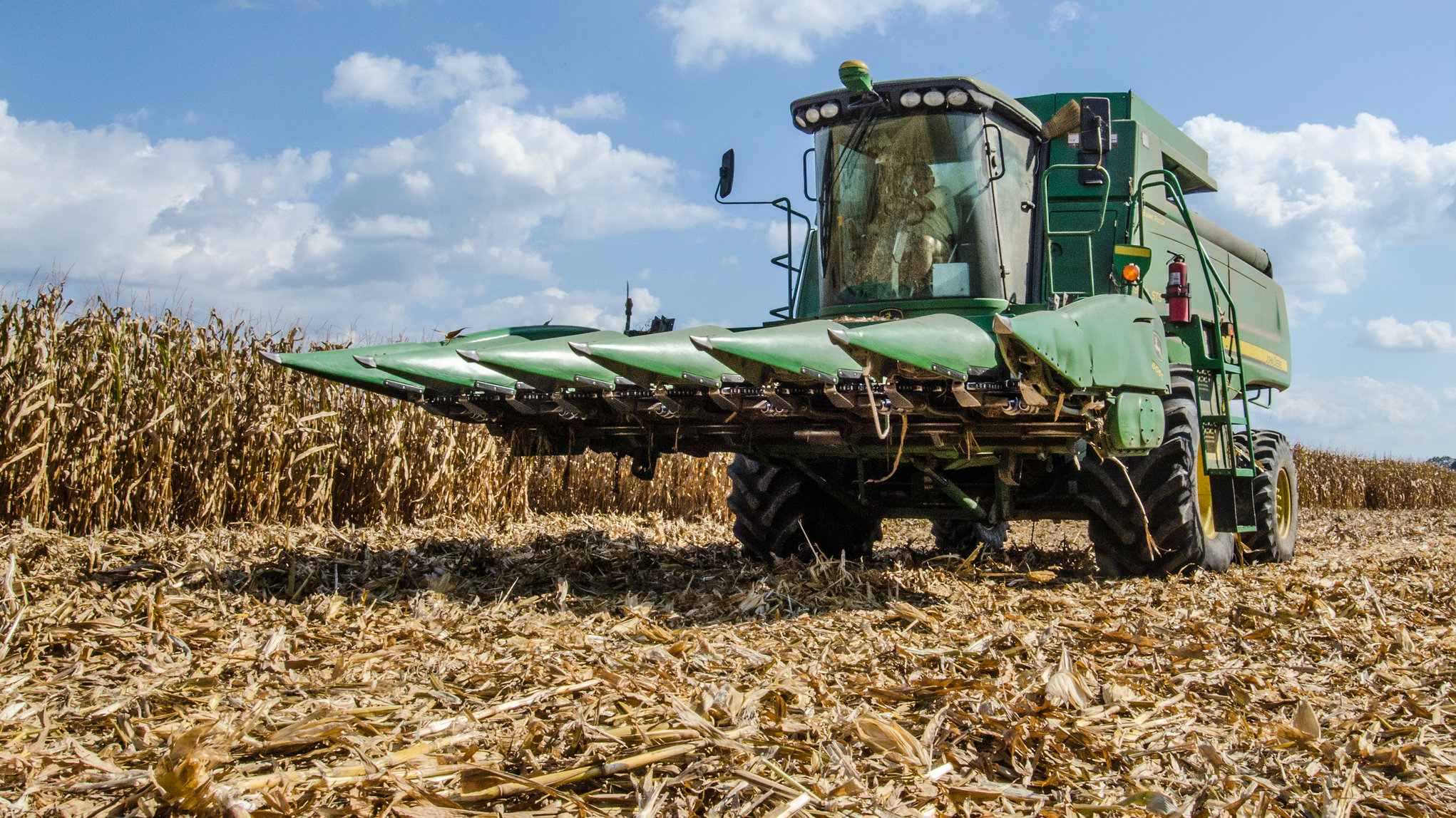 what_are_genetically_modified_crops