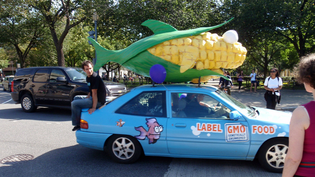 what_are_gm_foods