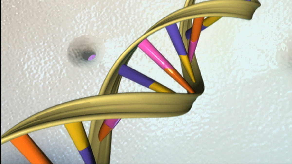 dna