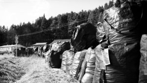 fukushima_radioactive_soil
