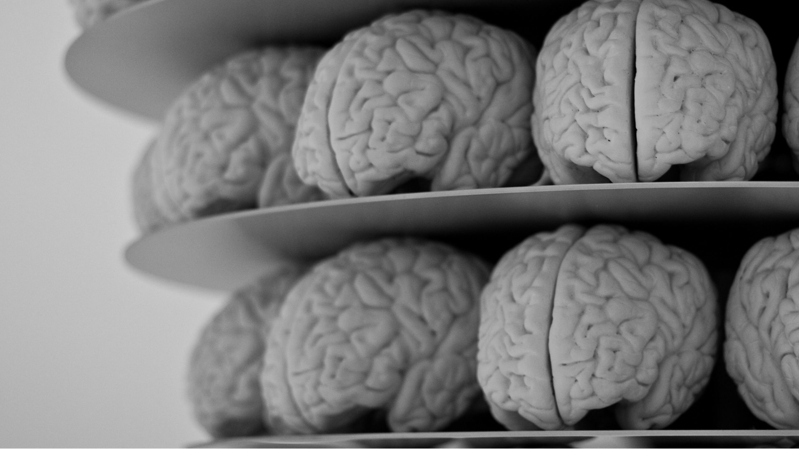 black_friday_brains