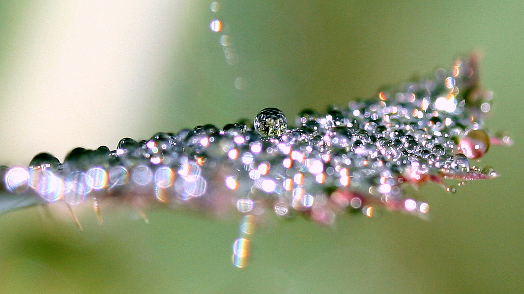 diamond_thread_graphene