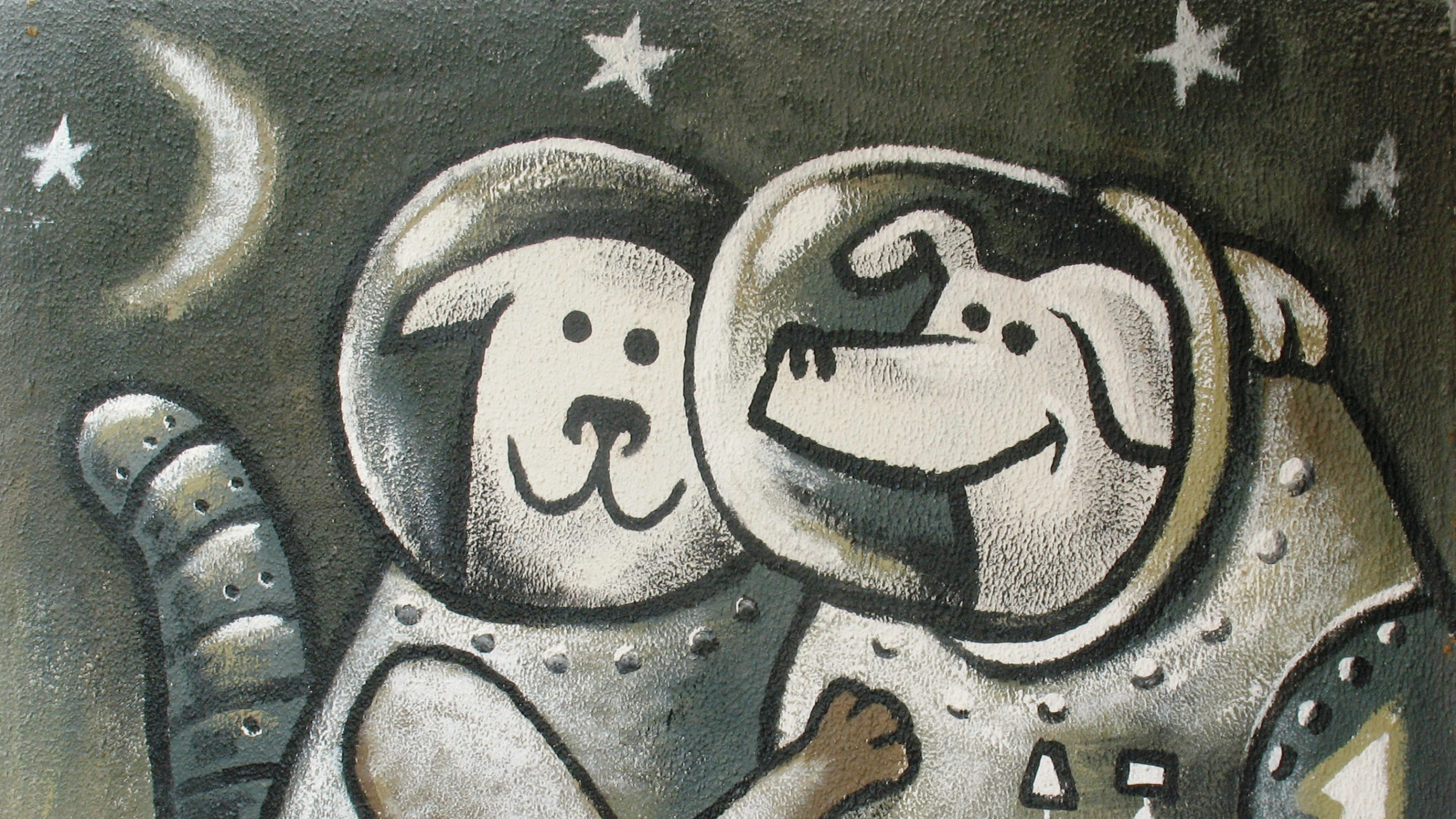 dogs_in_space