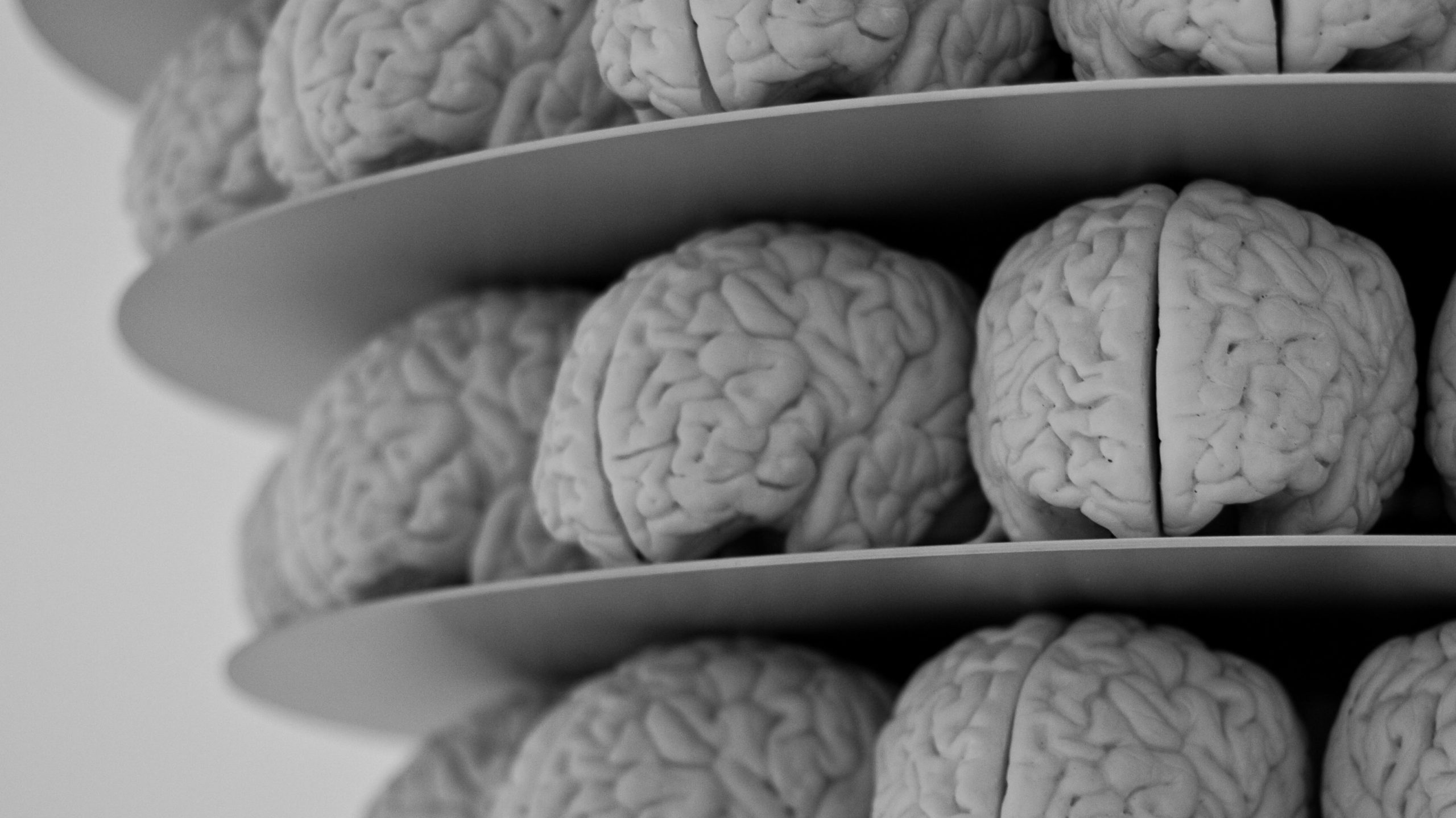 brains_on_the_internet