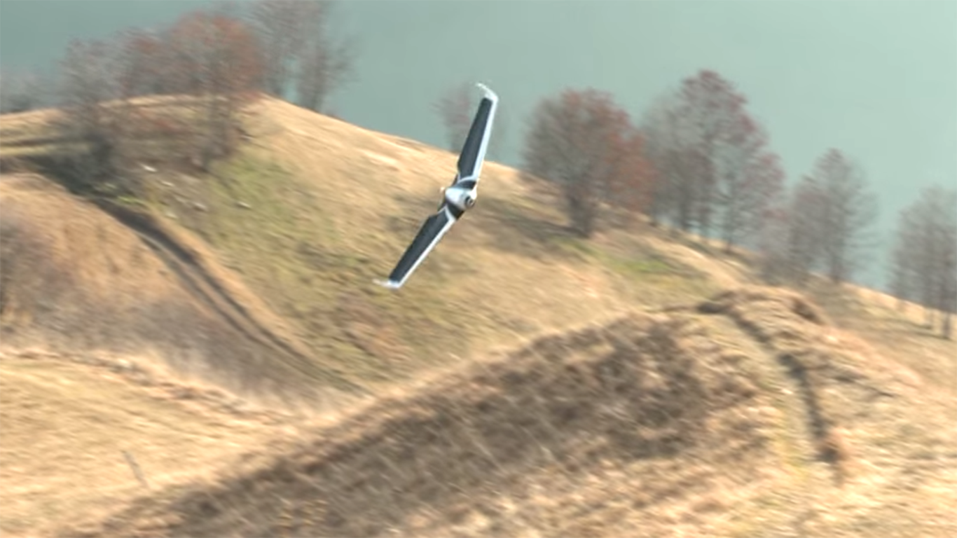 parrot_disco