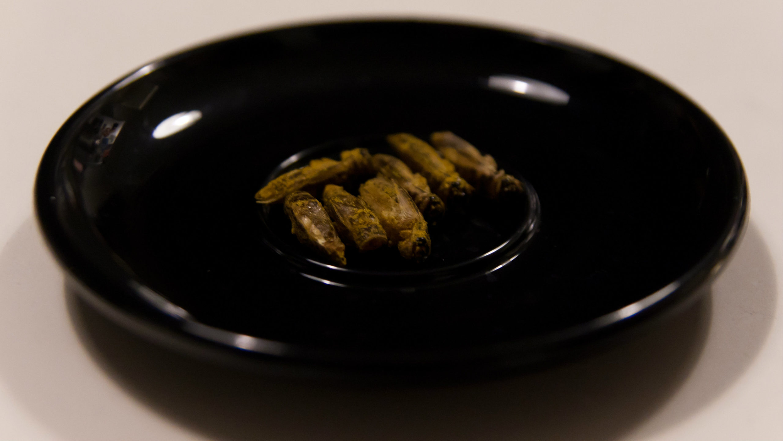 green_curry_crickets_-_alternatives_to_lab_grown_meat