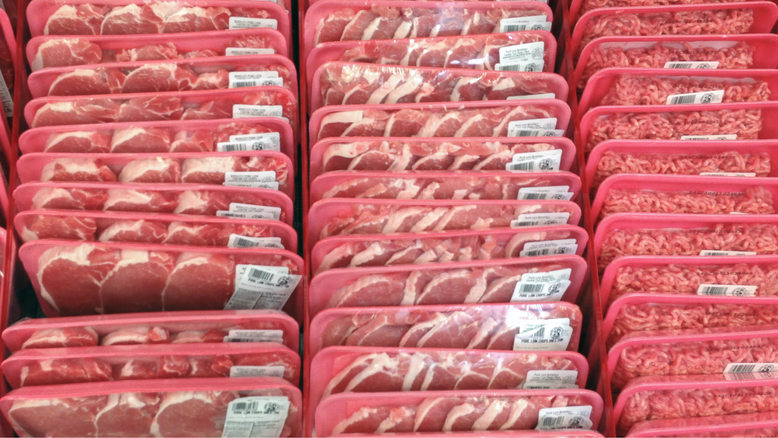 why_we_need_lab_grown_meat