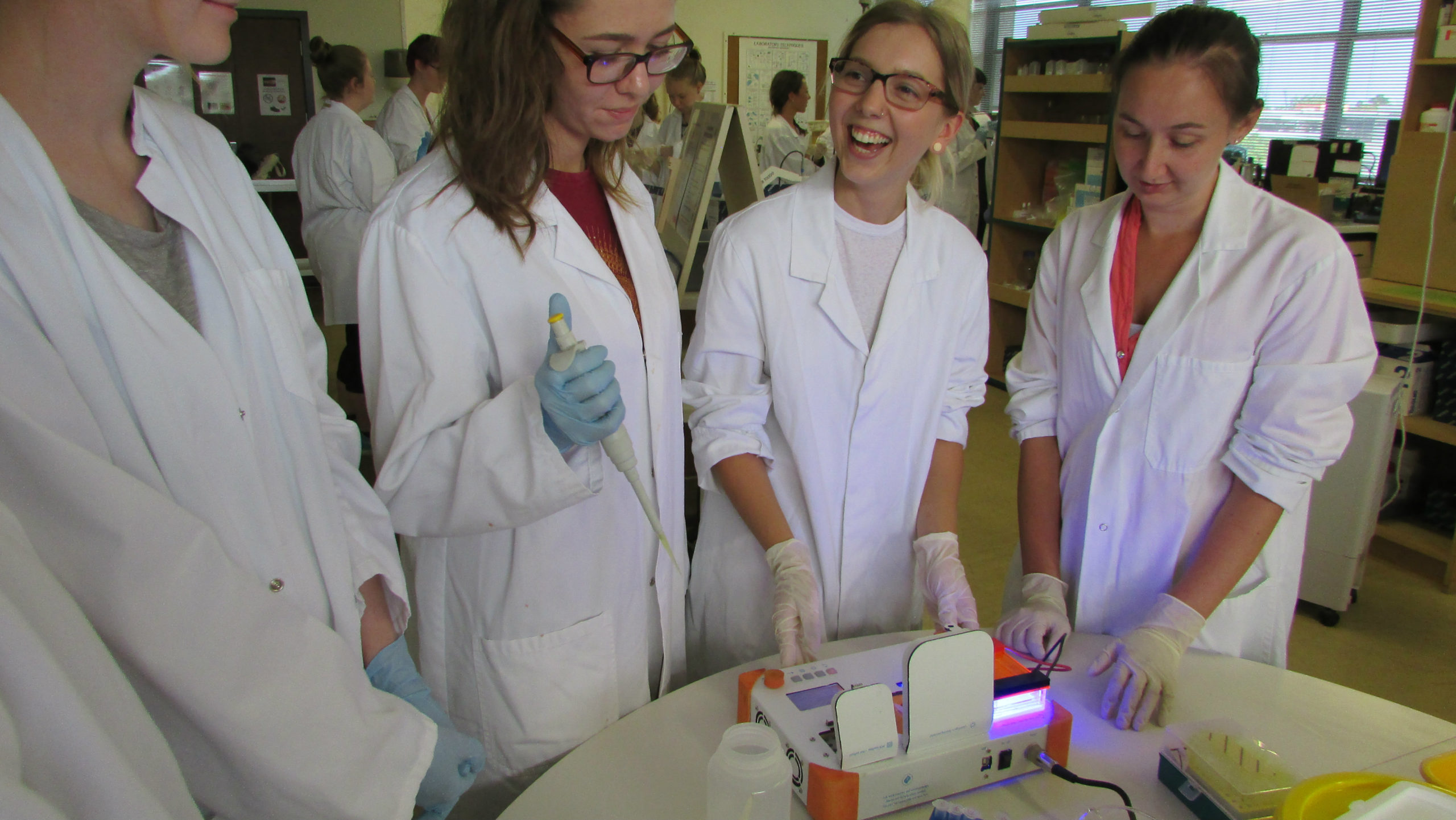 bento_lab_beta_picture