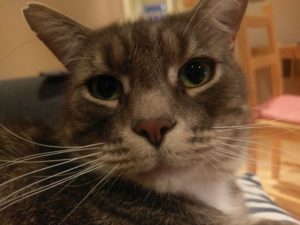 htc_10_photo_example