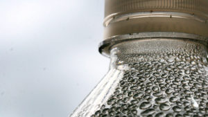 trypohobia_bottle