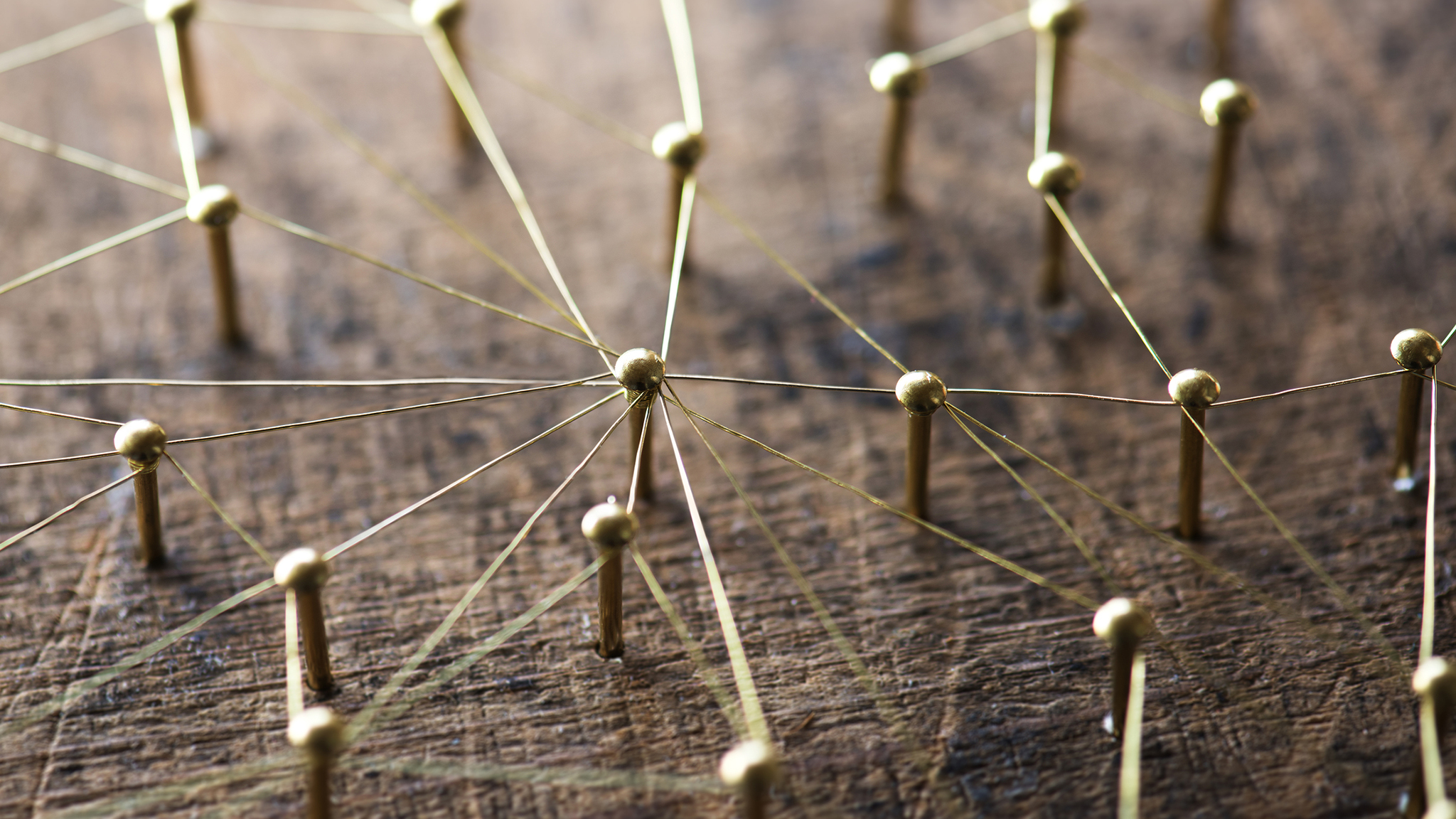five_entrepreneur_lessons_-_networking_profusical
