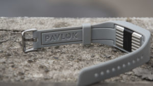 pavlok_3