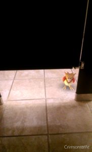 twitter_rambology101