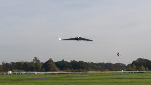 parrot_disco_11_of_14