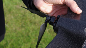 parrot_disco_1_of_14