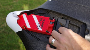 parrot_disco_3_of_14