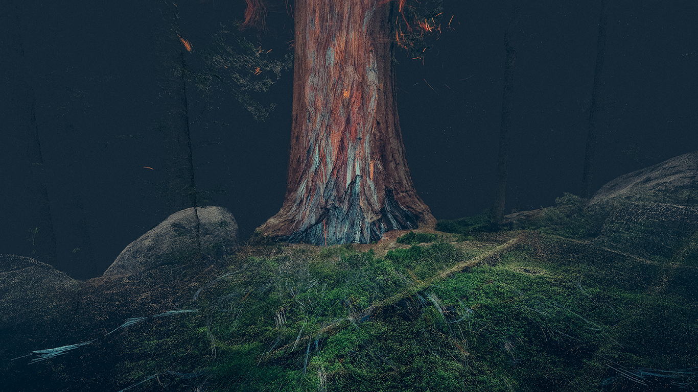 treehugger_wawona_04