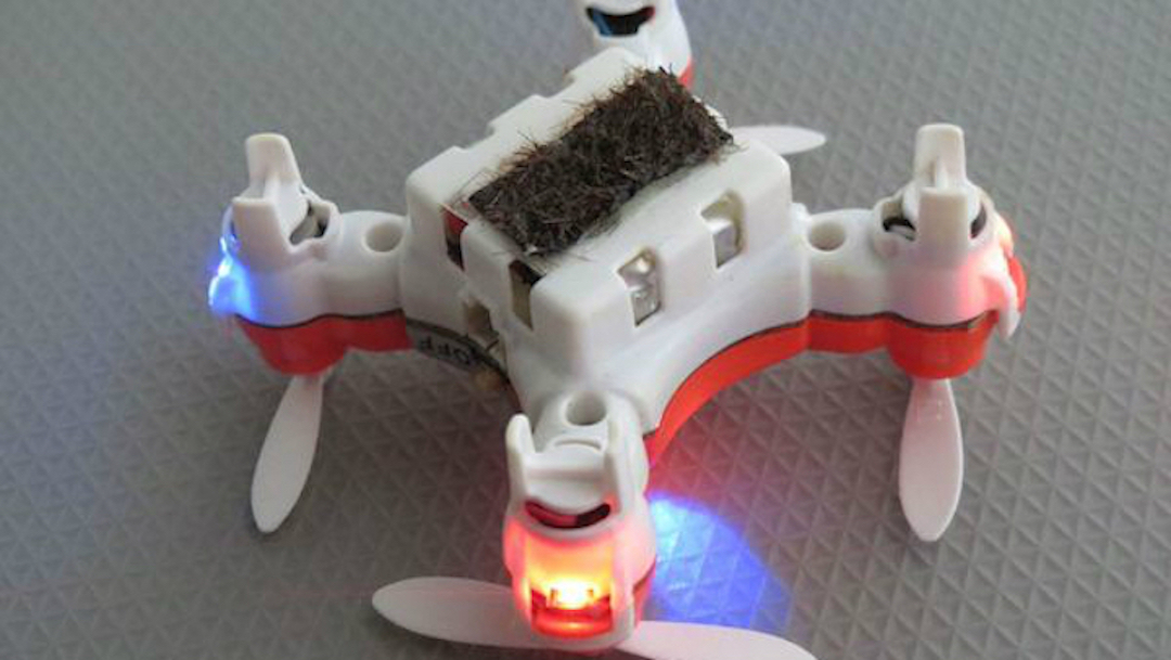 honey_bee_drone_extinction