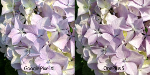 OnePlus 5 camera sample 2