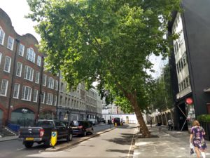 img_20170718_151104536_hdr