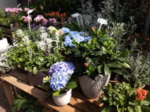 img_20170718_151340313