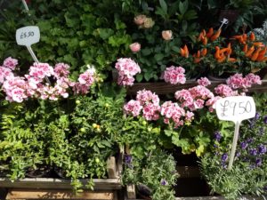 img_20170718_151441459_hdr