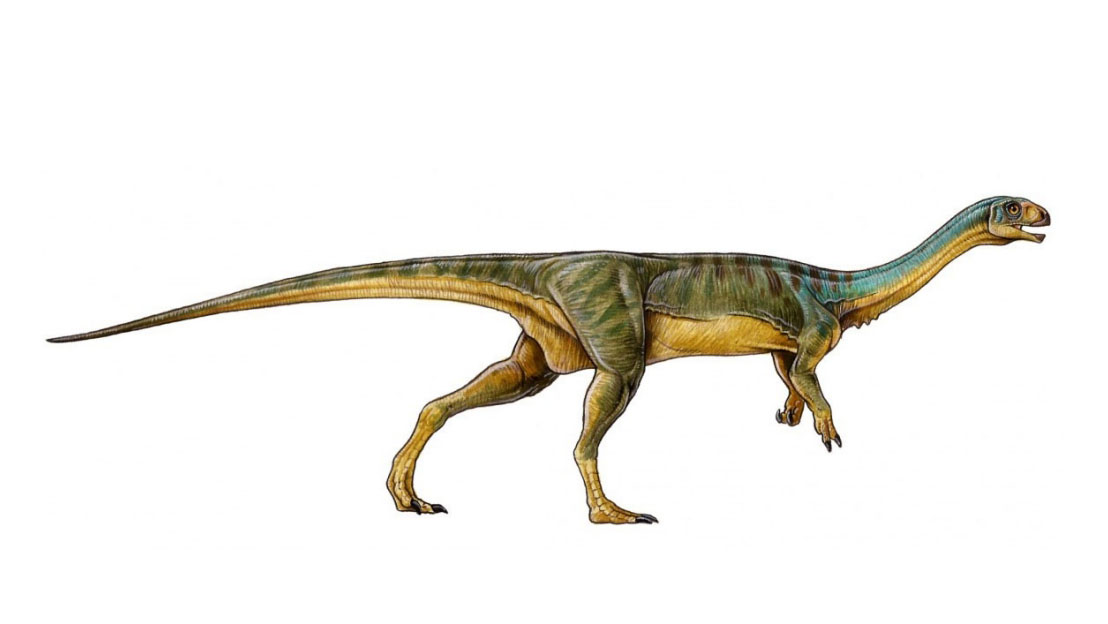 chilesaurus