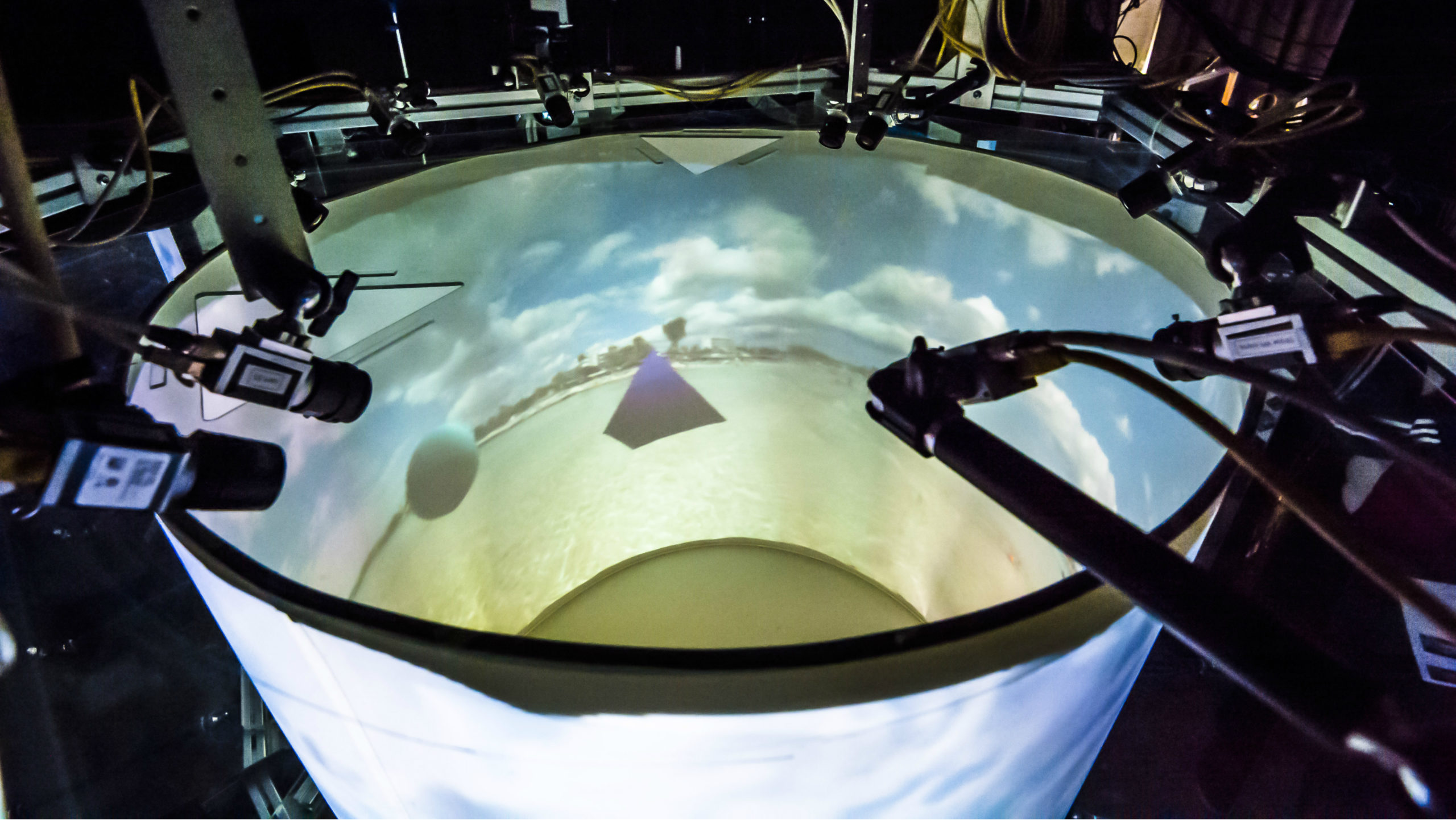 holodeck_for_fish_spatial_cognition