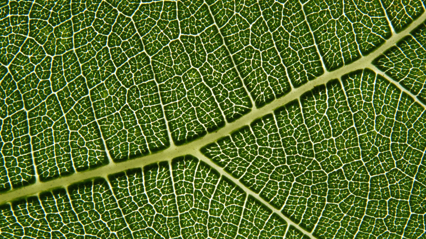 artificial_photosynthesis