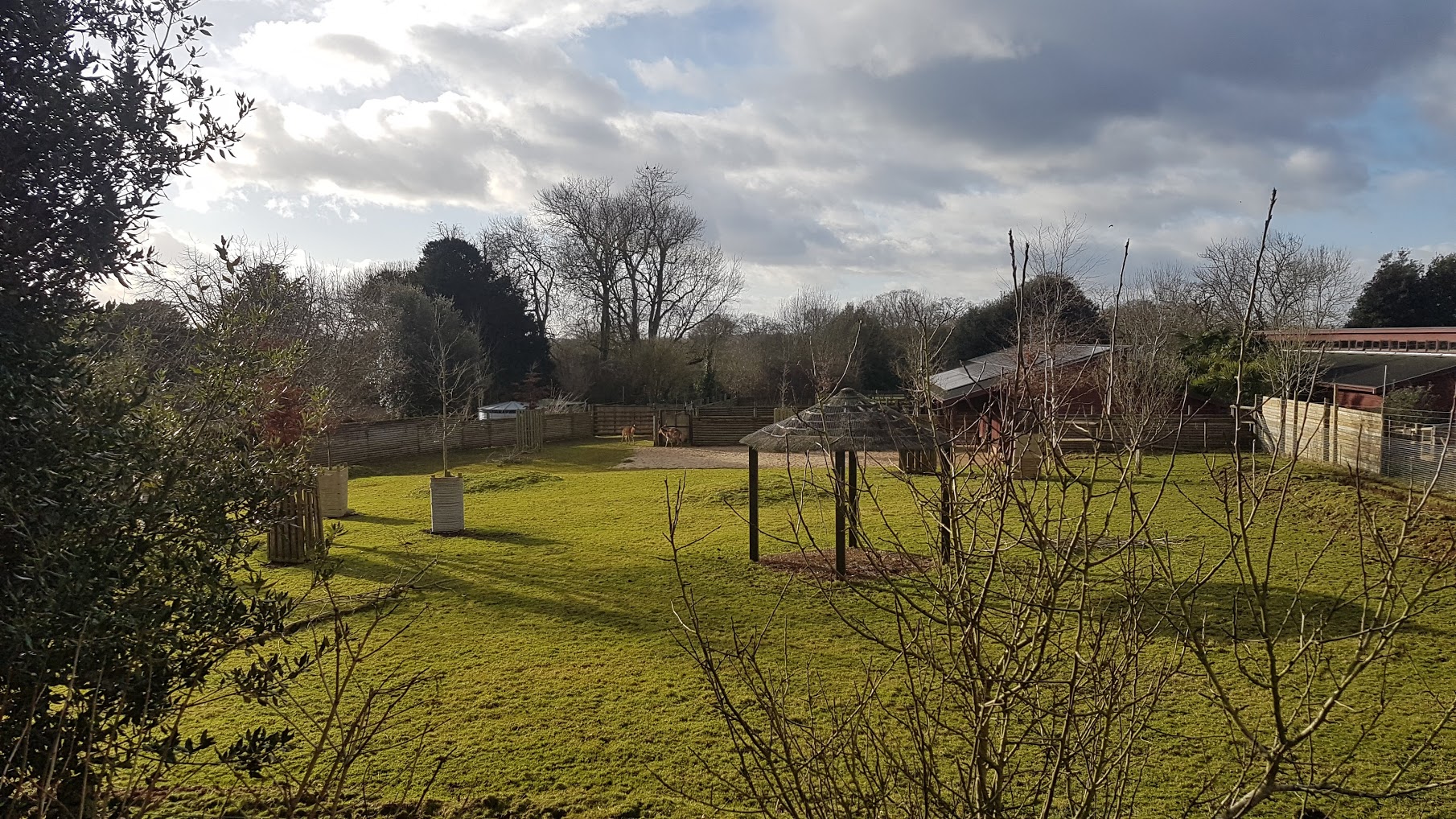 ibm_watsons_next_mission_keeping_antelopes_toasty_warm_-_4