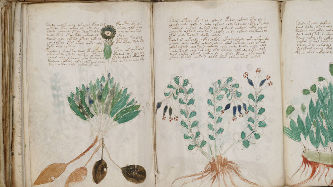 voynich_manuscript