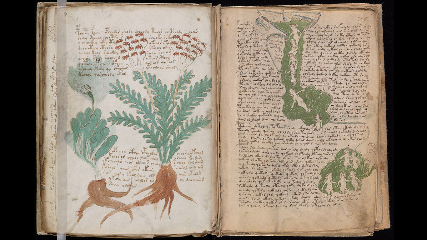 voynich_manuscript_1