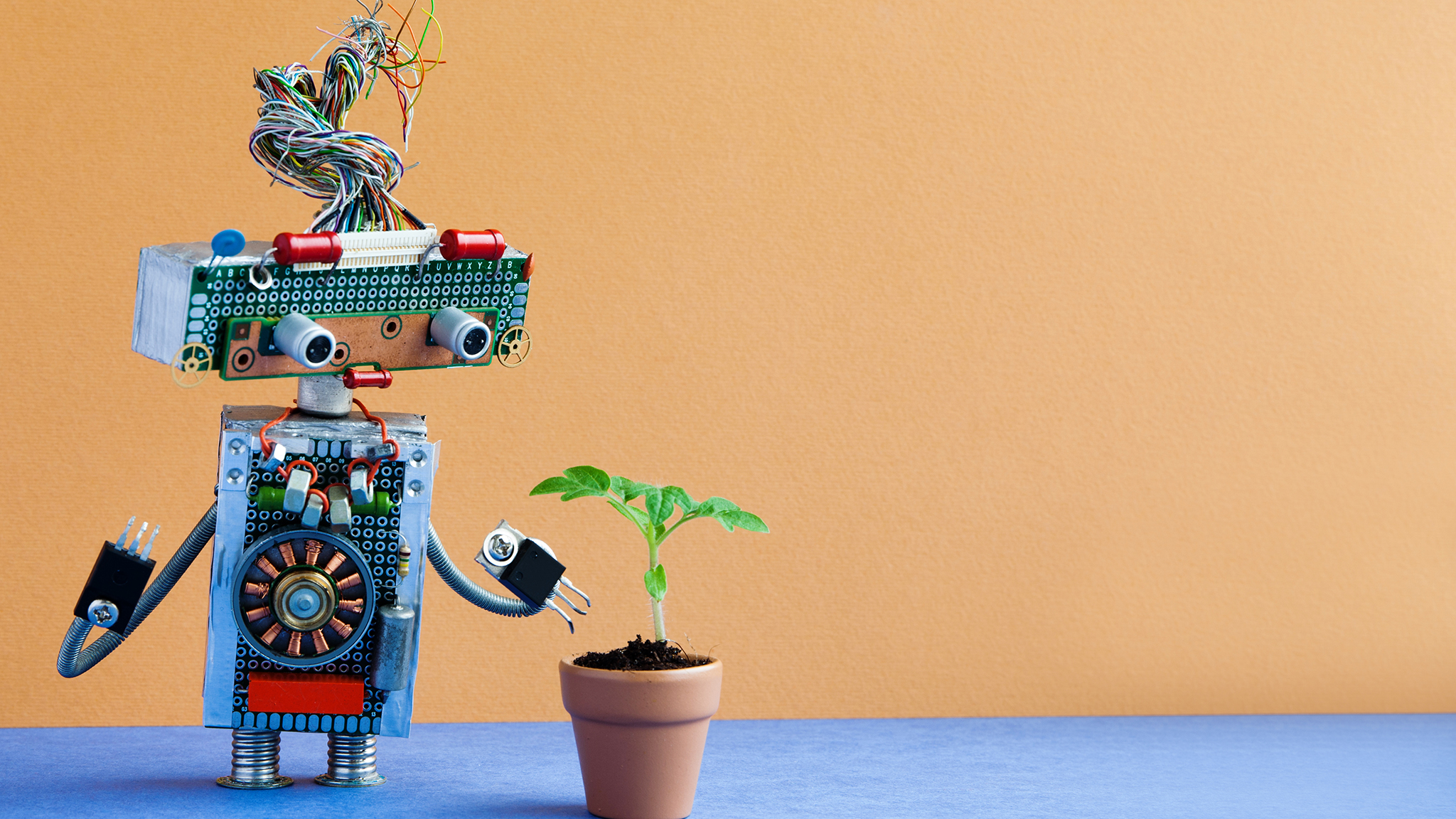 emotional_ai_robot_plant